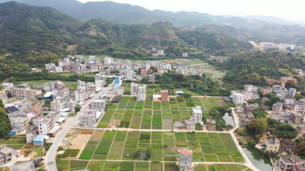 高州市平山镇:"田园党建"助推产业富民,促进乡村振兴