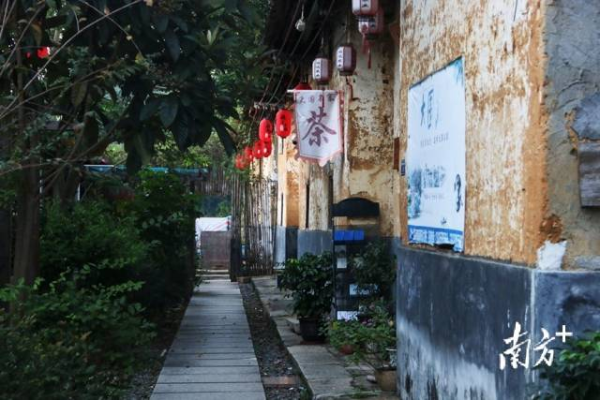 黎溪镇铁溪村大围村如今通过发展民宿项目，将闲置的房屋土地盘活。孙运冰 摄