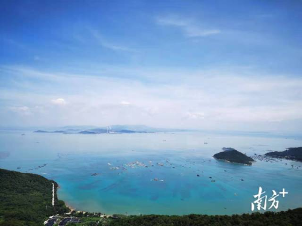 南澳县后花园村持续发展壮大村级集体经济。   受访者供图