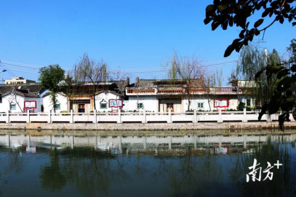 詹厝村对池塘进行清淤之后，砌建石篱，打造美丽水景。