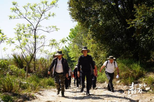 连州市委书记潘正焕率队巡山6小时，压实森林防火责任。