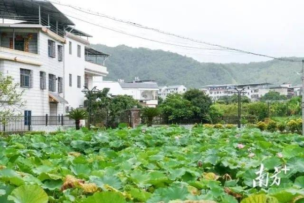 美丽宜人的雁下村。何森垚 摄