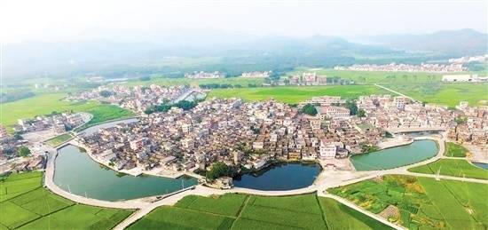 牛江镇是恩平市重要的种粮镇，描绘了“农业兴、农村美、农民富”的美丽画卷。牛江镇供图