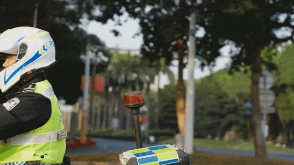 16.gif