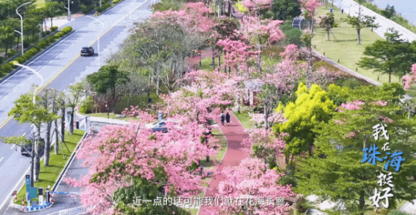 6.gif