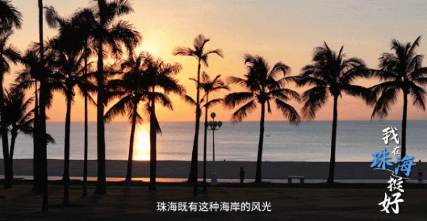 7.gif