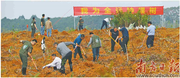 已编辑图片
