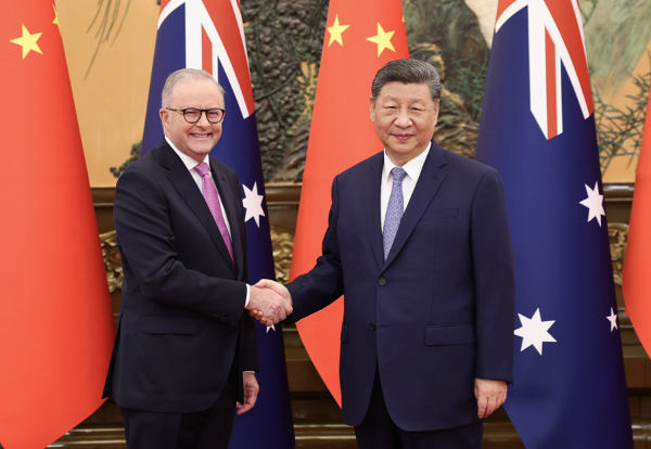 习近平会见澳大利亚总理阿尔巴尼斯1.jpg