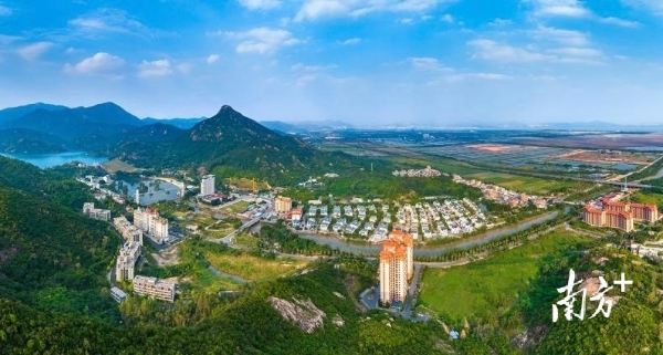 村组织.jpg