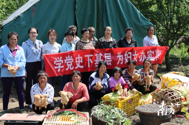5月10日，乐昌市妇联到云岩镇发放鸡苗和饲料实践活动。